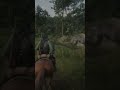rdr2 I thought horses could swim #Uhoh1586 #gaming #rdr2 #rdr #reddead #savereddeadonline #nightmare