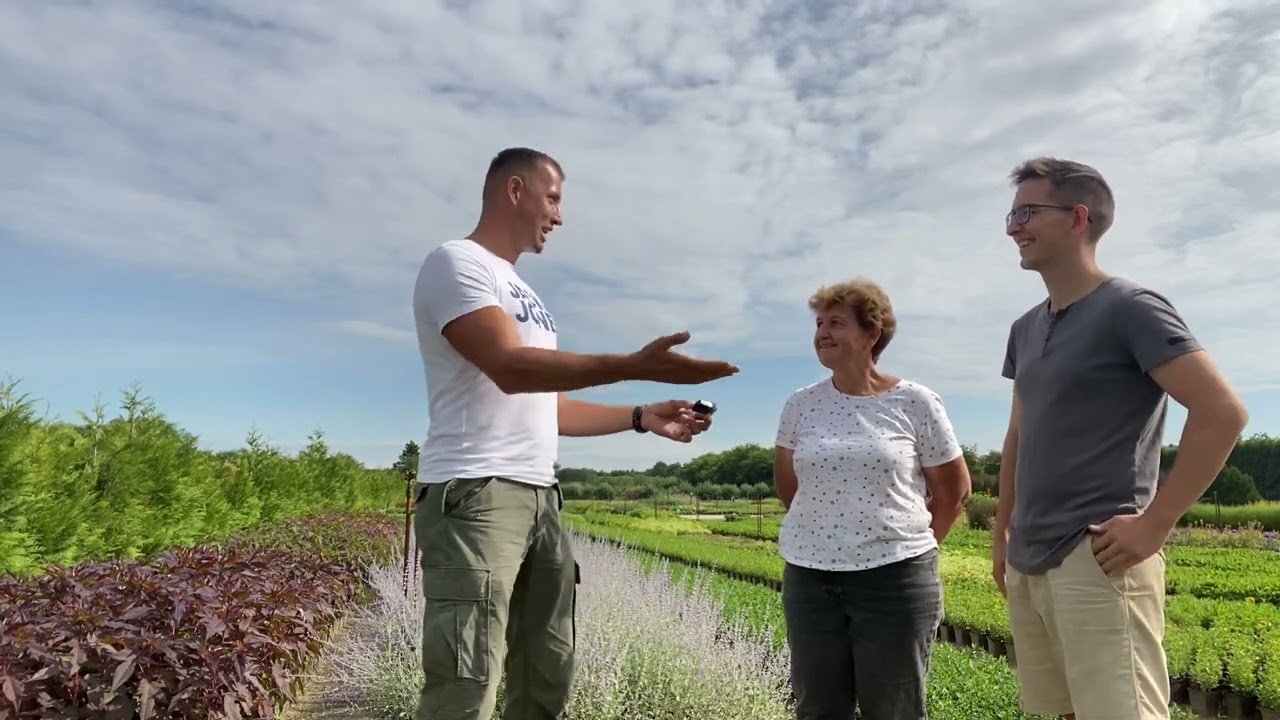 Hegede évelőkertészetben jártam