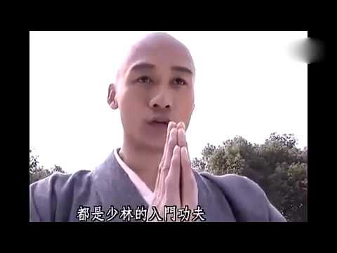 绝世高手使出少林七十二绝技，令全寺众僧惊讶！结果小和尚出手轻松搞定