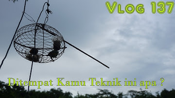 "SKILL RAMPAI" memikat SERINDIT _ Vlog 137