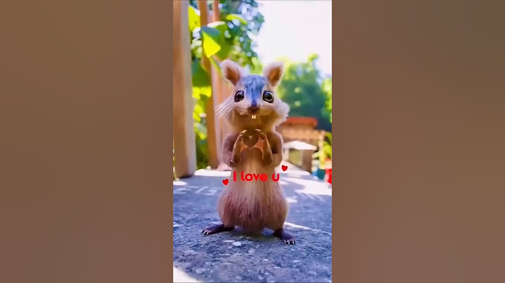 Gaurav Ka Friend Kesa Laga Aapko #shorts #gau...🥺🥺