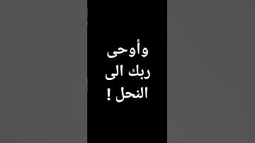 #عبدالباسط_عبدالصمد #قرآن #تلاوات #القرآن_الكريم #معصم_محمود آيات من الذكر الحكيم @معصم محمود