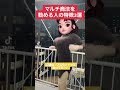おっぱい 乳揺れダンス でも揺れるってレベルではありません Tiktok Shorts