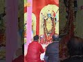 🌺 Nabakali Darshan | 9 Avatars of Maa Kali | Divine Kali Puja 2025 Glimpse from Kolkata 🔥✨ #fyp