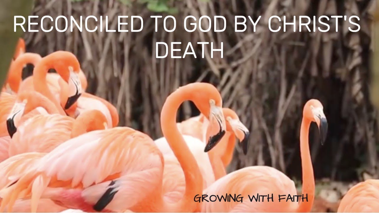 Reconciled To God By Christ's Death | Daily Devotional | Gina & Sarah Poitevien