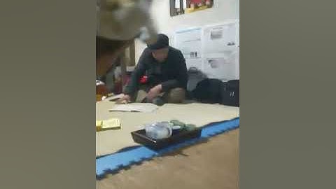 Văn hóa dân tộc nùng , thầy tào hoàng khuyến, than lảu. Bài 3