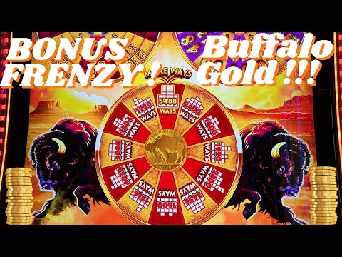 Buffalo Gold in a Bonus Frenzy !