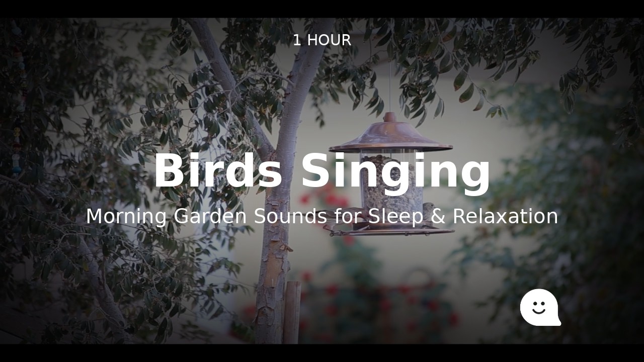 1 Hour Birds Singing — Morning Garden Sounds for Sleep & Relaxation