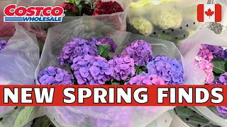 New Must-Buys At Costco Costco Canada Shopping