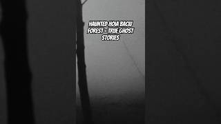 Haunted Hoia Baciu Forest - True Ghost Stories