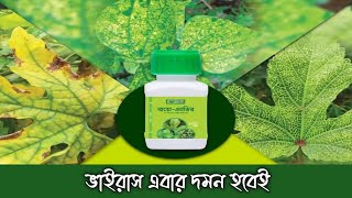 মজইক ভইরস দমন বয-এনভর বযবহর মজইক ভইরস, ইযল মইন মজইক ভইরস দমন করযকর