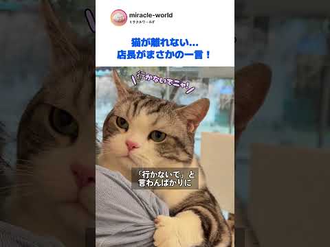 帰ろうとすると腕を離さない猫。店長「もう連れて帰ります?」ww