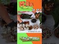 21 位不畏艱苦、專門挑戰極限的 Outdoor 大神空降兩鍋論啦！各種想得到想不到的極限運動，你看過哪些😮？當最硬派的戶外魂遇上最頂級的療癒美食哪一鍋可以征服評審的胃？ #真料理兩鍋論