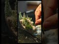 Step-by-step Christmas magic #resin #christmastime #christmasdiy #homedecor #christmastree #handmade