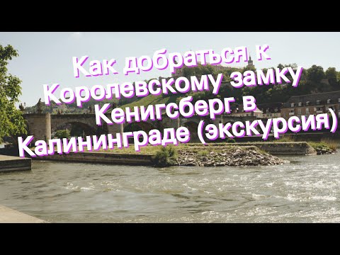 Как добраться к Королевскому замку Кенигсберг в Калининграде (экскурсия)