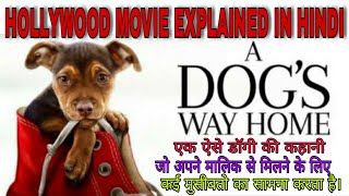 A DOG&#39;S WAY HOME 2019 l HOLLYWOOD MOVIE EXPLAINED IN HINDI