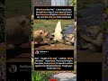 When the Water King Gets Turned Into a Tug-of-War Rope#foryou #fyp #animals #funny