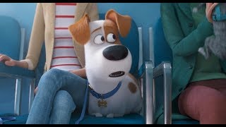 The Secret Life Of Pets 2 The Max Trailer