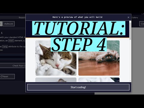 freeCodeCamp | CSS