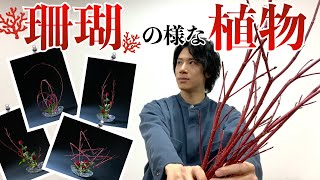 サンゴミズキのテクニック！一挙6作品、皆さんはどれがお好き