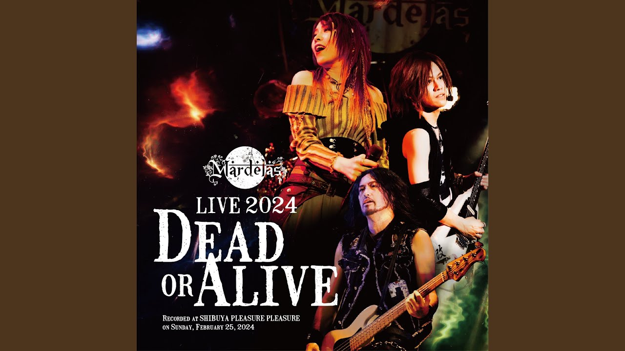 Bullseye [Live 2024]