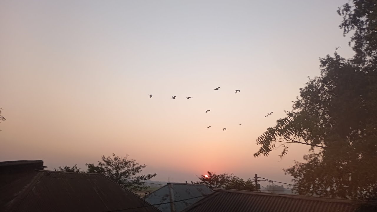 হঠাৎ করে মামার বাড়িতে কেনো চলে আসতে হলো আমাকে✅ #dailyvlog #dailyroutinevlog #villagehousewifevlog 