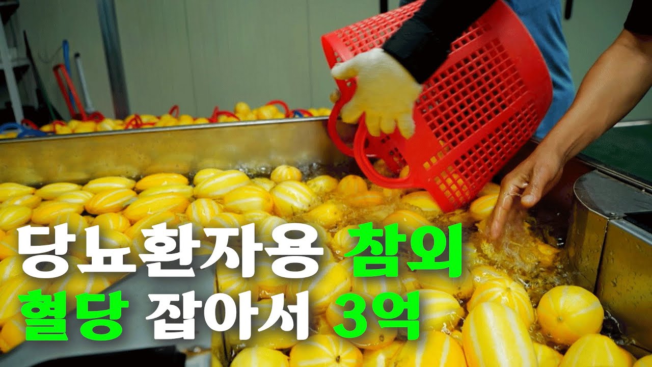 [역전의부자농부 363회] 당뇨 잡는 성주 참외?