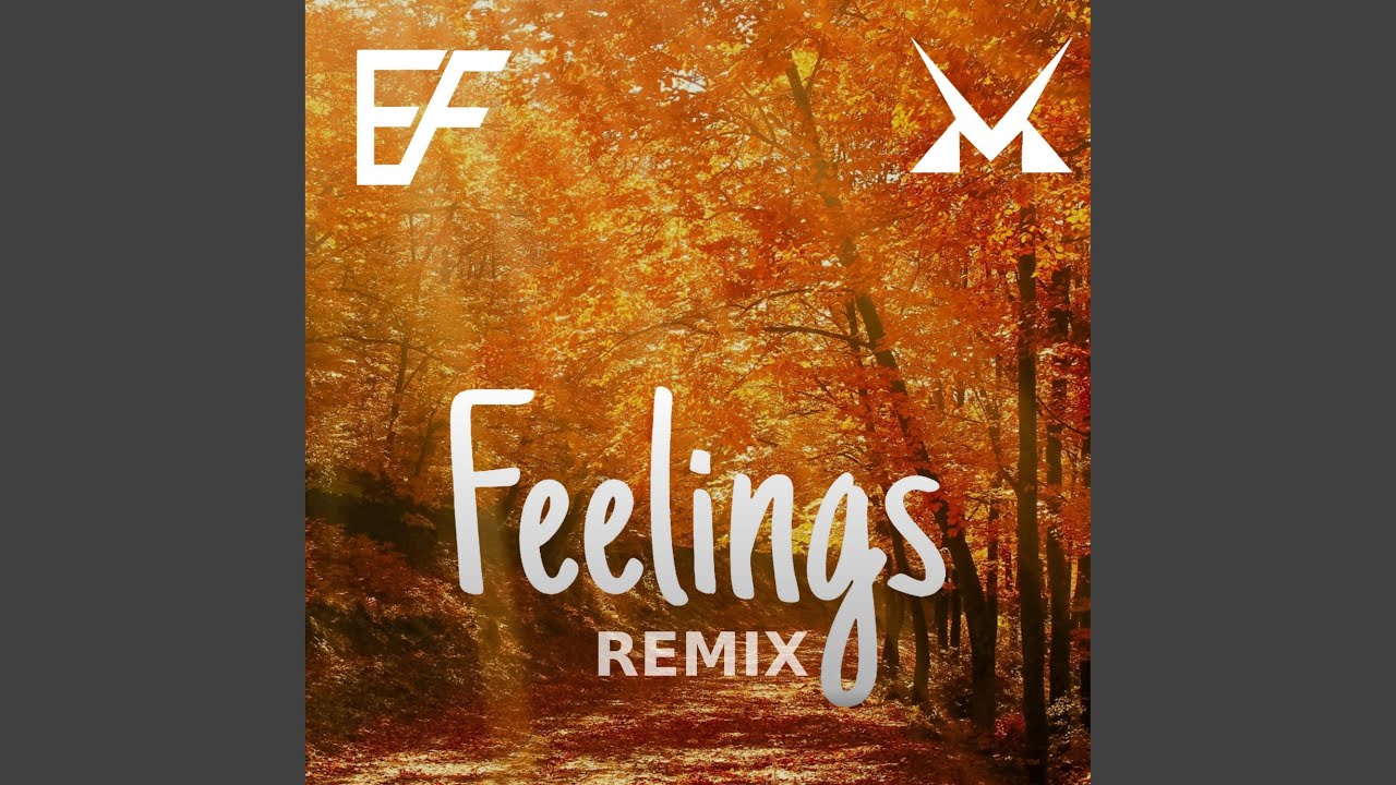 Let' s mix all feelings together　バルチェロ Feelings (Matzx Remix) - YouTube