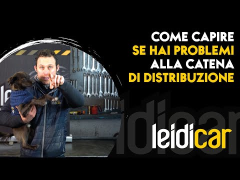 Video: La catena di distribuzione fermerà l'avvio dell'auto?