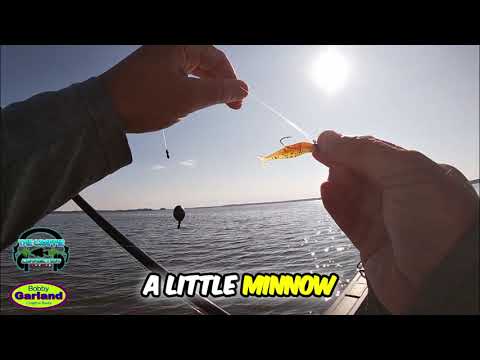 Fishing Success: Catching Fish with Live Roamer Lure!