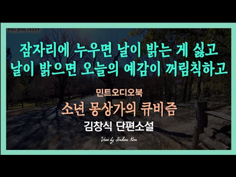 나를 누구에게도 털어 놓을 수 없으므로... 김창식 단편소설 - 소년 몽상가의 큐비즘