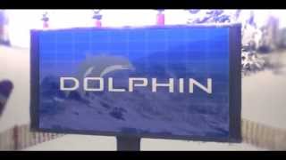 Funky Dolphin (3rd) - Cookie