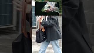 Esquirol Saltando valla para kurrar en el 3 día de huelga en DIGI
