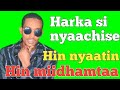 Seenaa Barnoota Qabu 
