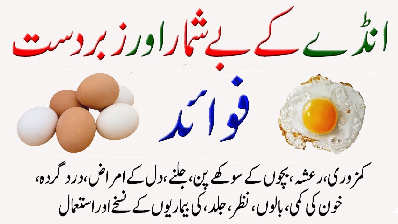 Anda Khane Ke Fayde/Fawaid Egg Benefits in Urdu/Hindi Egg Khanay Ke Fayde Health Tips