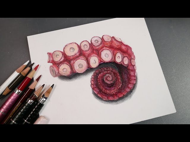 タコを描いた 色鉛筆 マーカー Draw an octopus - YouTube