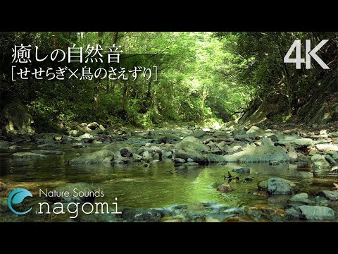 【自然音/ASMR】癒しの自然音｜せせらぎ・鳥のさえずり｜勉強・睡眠・作業用BGM｜川の音・自然の音・Nature Sounds