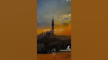 من سورة السجدة || القارئ عبدالرحمن مسعد