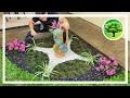 💚 Jardim criativo com jarro de suculentas / Decoração de jardim 37