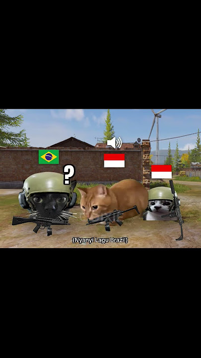 Gwa Indo bg 😹 #arenabreakout #luthfihalimawan #memes #meme #kucing #cat #brazil