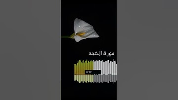 سورة الضحى قرآن