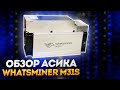 WHATSMINER M31S 80TH. Тестируем асик и оцениваем окупаемость/доходность