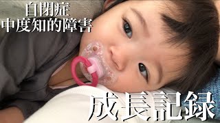 【自閉症】娘が生まれてから4歳までの成長の記録。発達指数、発達年齢など。