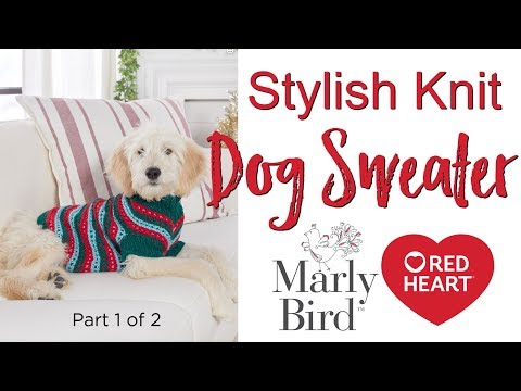 diy-stylish-knit-dog-sweater-for-extra-small,-small,-medium-and-large-dogs-part-1-of-2