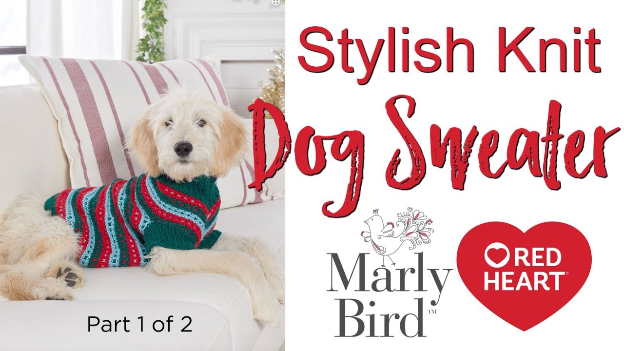 Diy Stylish Knit Dog Sweater For Extra Small Small Medium And