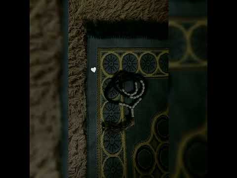 Baraa Masoud - love and life ( vocals only )