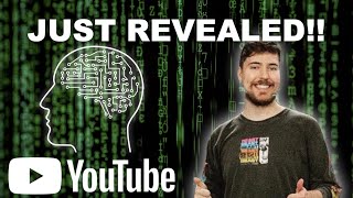 How MrBeast CRACKED The Youtube Algorithm Net Worth