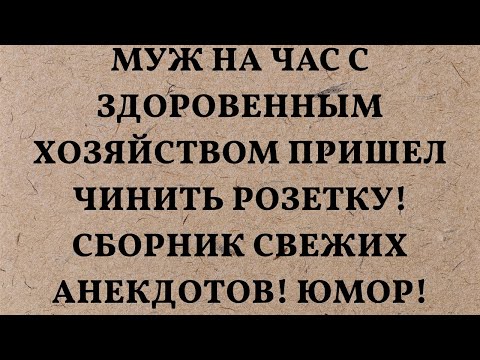 Муж на Час с Здоровенным Хозяйством Пришел Чинить Розетку Сборник Свежих Анекдотов Юмор