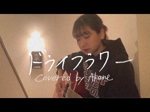 ドライフラワー/ 優里 / covered by Akane