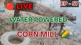 water powered Corn Pounder Mill LIVE - EP - 57 Water Powered Pounder Corn Live